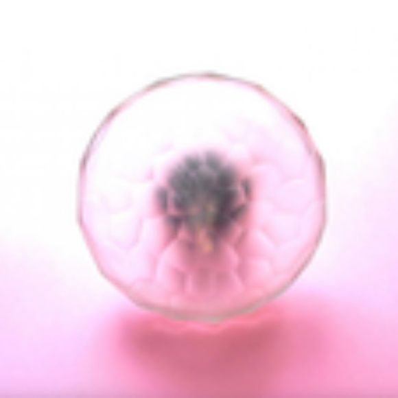 ~Vintage YSL Baby Doll EDT Perfume Spray for Women 1.6 Oz/50 Ml~No Box~ - Picture 11 of 13